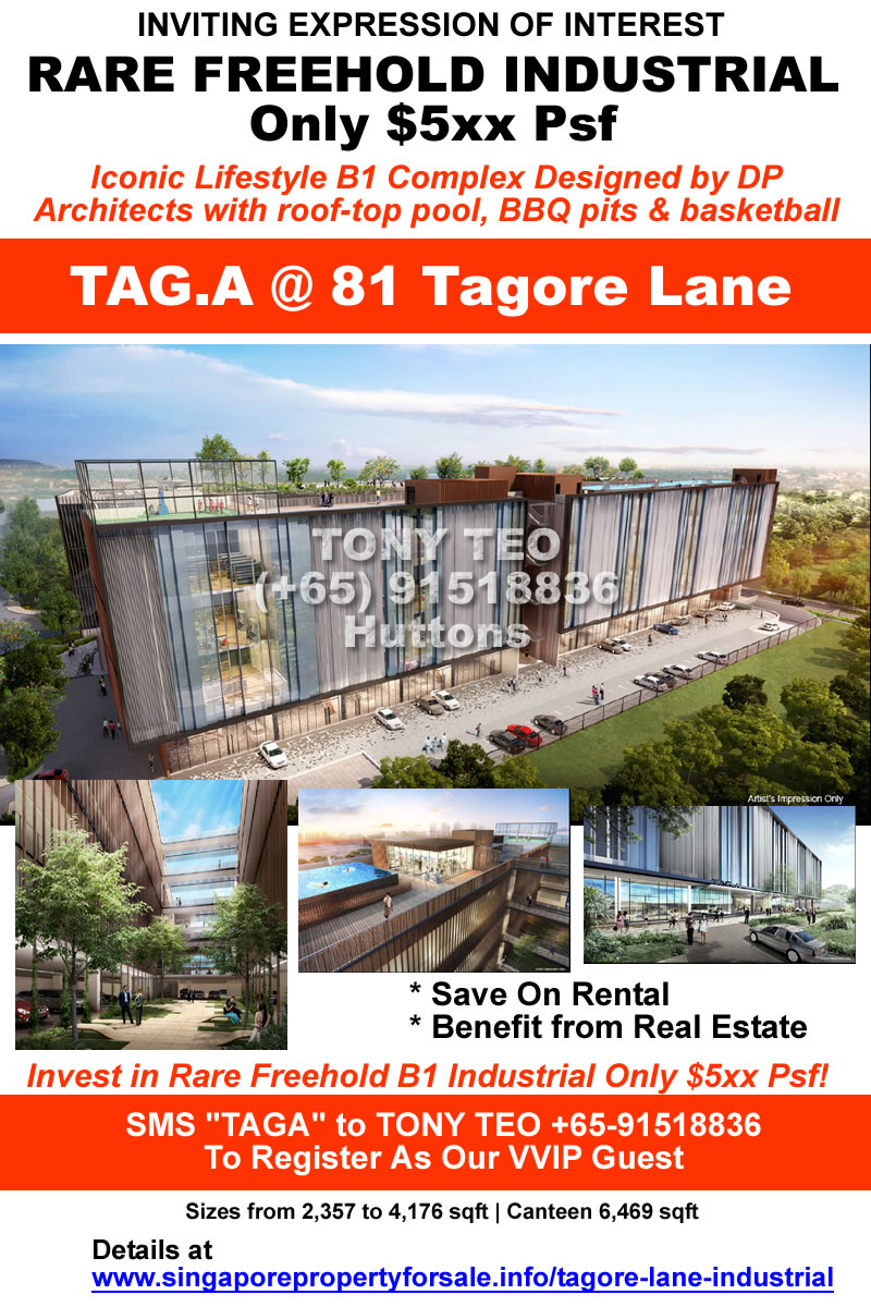 TAG A 81 Tagore Lane Possibly Cheapest FREEHOLD B1 Industrial Only tag-a-81-tagore-lane-possibly-cheapest-freehold-b1-industrial-only
